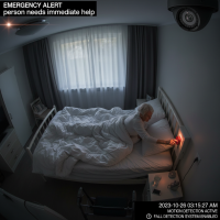 Elderly Monitoring 016 Emergency