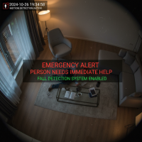 Elderly Monitoring 025 Emergency