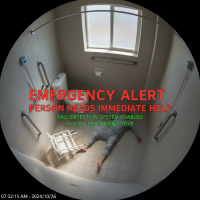 Elderly Monitoring 028 Emergency