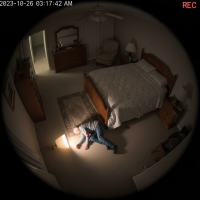 Gemini 25 Flash Image Preview Img005 20250908 170316 Bedroom Night Surveillance