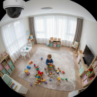 Gemini 25 Flash Image Preview Img007 20250908 170316 Afternoon Surveillance