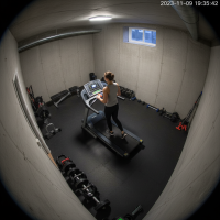 Gemini 25 Flash Image Preview Img009 20250908 084631 Evening Surveillance