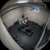 Gemini 25 Flash Image Preview Img009 20250908 084738 Evening Surveillance