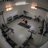 Gemini 25 Flash Image Preview Img009 20250908 115953 Evening Surveillance