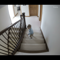 Gemini 25 Flash Image Preview Img009 20250908 170316 Daytime Surveillance