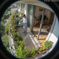 Gemini 25 Flash Image Preview Img012 20250908 084631 Morning Surveillance