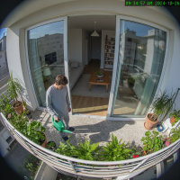 Gemini 25 Flash Image Preview Img012 20250908 084704 Morning Surveillance