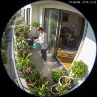 Gemini 25 Flash Image Preview Img012 20250908 084738 Morning Surveillance