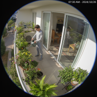 Gemini 25 Flash Image Preview Img012 20250908 090407 Morning Surveillance