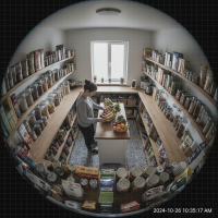 Gemini 25 Flash Image Preview Img014 20250908 084738 Daytime Surveillance