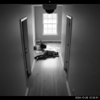 Gemini 25 Flash Image Preview Img023 20250908 151237 Afternoon Surveillance