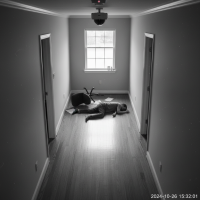 Gemini 25 Flash Image Preview Img023 20250908 170316 Afternoon Surveillance