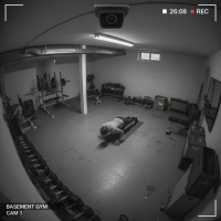 Gemini 25 Flash Image Preview Img024 20250908 120518 Evening Surveillance