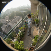 Gemini 25 Flash Image Preview Img027 20250908 120618 Morning Surveillance