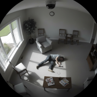 Gemini 25 Flash Image Preview Img040 20250908 151840 Afternoon Surveillance