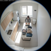 Gemini 25 Flash Image Preview Img058 20250908 121713 Afternoon Surveillance