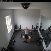 Gemini 25 Flash Image Preview Img070 20250908 152906 Afternoon Surveillance