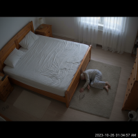 Gemini 25 Flash Image Preview Img083 20250908 170326 Bedroom Night Surveillance