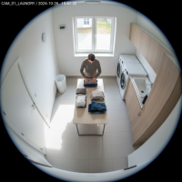 Gemini 25 Flash Image Preview Img088 20250908 122725 Afternoon Surveillance