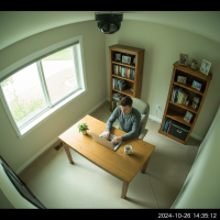 Gemini 25 Flash Image Preview Img093 20250908 170327 Home Office Working Daytime Surveillance