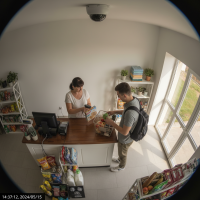 Gemini 25 Flash Image Preview Img10009 20250908 171840 Afternoon Surveillance