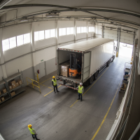 Gemini 25 Flash Image Preview Img10046 20250908 171841 Morning Surveillance