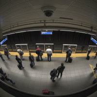 Gemini 25 Flash Image Preview Img10104 20250908 171843 Morning Surveillance