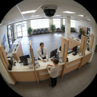 Gemini 25 Flash Image Preview Img10112 20250908 171844 Morning Surveillance