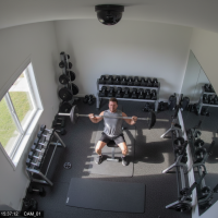 Gemini 25 Flash Image Preview Img10132 20250908 171845 Afternoon Surveillance