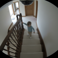 Gemini 25 Flash Image Preview Img10149 20250908 171846 Daytime Surveillance