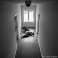 Gemini 25 Flash Image Preview Img101 20250908 153936 Afternoon Surveillance