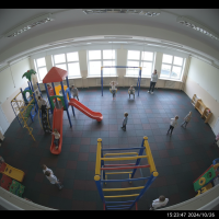 Gemini 25 Flash Image Preview Img10250 20250908 171849 Afternoon Surveillance