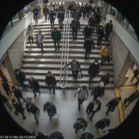 Gemini 25 Flash Image Preview Img10265 20250908 171850 Morning Surveillance