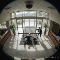 Gemini 25 Flash Image Preview Img10271 20250908 171850 Afternoon Surveillance