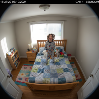 Gemini 25 Flash Image Preview Img10307 20250908 171852 Bedroom Afternoon Surveillance