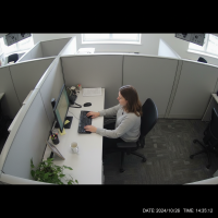 Gemini 25 Flash Image Preview Img1032 20250908 170540 Working Daytime Surveillance