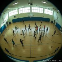 Gemini 25 Flash Image Preview Img10331 20250908 171853 Morning Surveillance