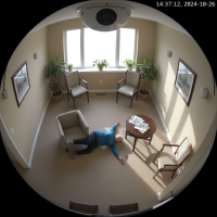 Gemini 25 Flash Image Preview Img10336 20250908 171853 Afternoon Surveillance