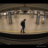 Gemini 25 Flash Image Preview Img10342 20250908 171853 Evening Surveillance