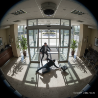 Gemini 25 Flash Image Preview Img10349 20250908 171853 Afternoon Surveillance