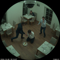 Gemini 25 Flash Image Preview Img10355 20250908 171854 Evening Surveillance