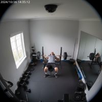 Gemini 25 Flash Image Preview Img10366 20250908 171854 Afternoon Surveillance