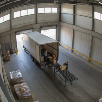 Gemini 25 Flash Image Preview Img10436 20250908 171857 Morning Surveillance