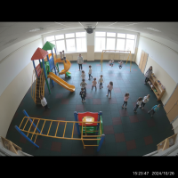 Gemini 25 Flash Image Preview Img10484 20250908 171859 Afternoon Surveillance