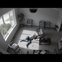 Gemini 25 Flash Image Preview Img10492 20250908 171859 Afternoon Surveillance