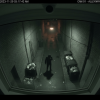 Gemini 25 Flash Image Preview Img10525 20250908 171901 Night Surveillance