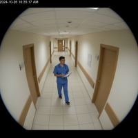 Gemini 25 Flash Image Preview Img1053 20250908 170543 Daytime Surveillance