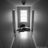 Gemini 25 Flash Image Preview Img10553 20250908 171902 Afternoon Surveillance