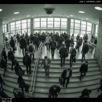 Gemini 25 Flash Image Preview Img10577 20250908 171903 Morning Surveillance