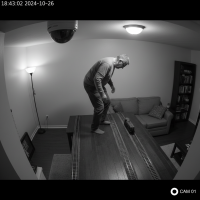 Gemini 25 Flash Image Preview Img1060 20250908 170545 Evening Surveillance